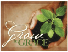 Widget sidebar image2